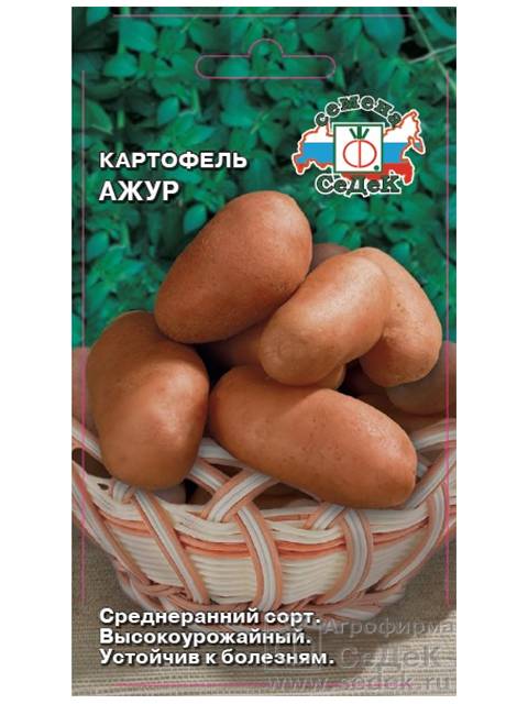 Картофель ажур: описание сорта и характеристики, фото семян седек, отзывы садоводов о вкусовых качествах, хранение и сроки созревания