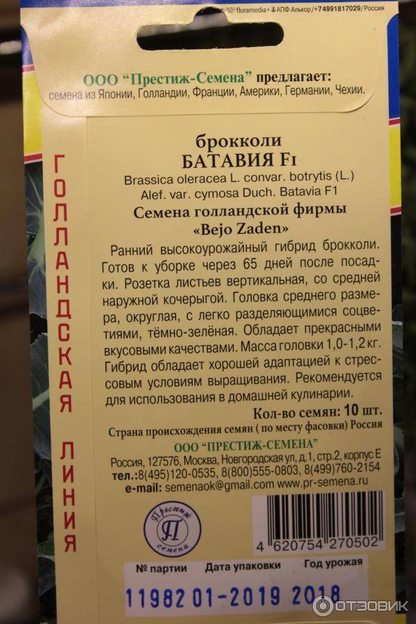 Капуста поздняя престиж f1. описание головок, плюсы, минусы, правила культивирования