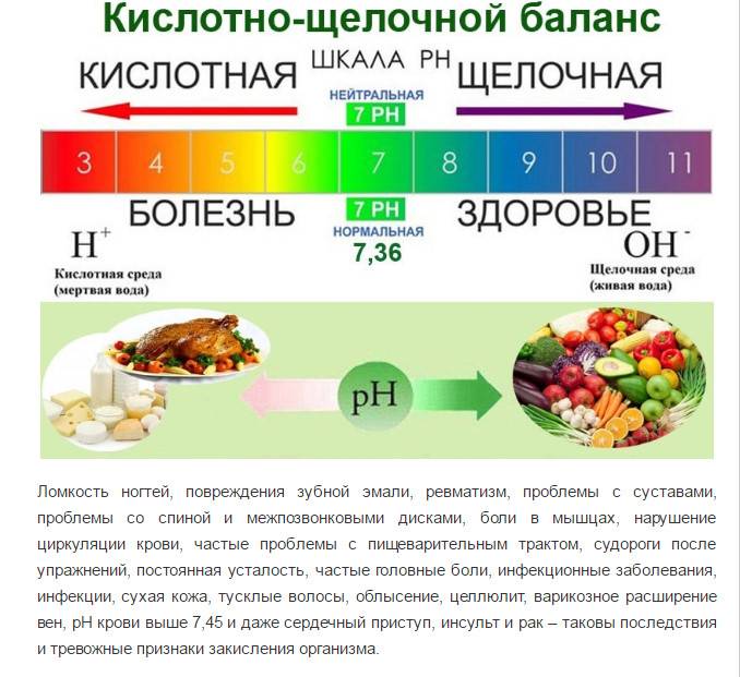 Щелочные продукты питания — список и щелочная диета