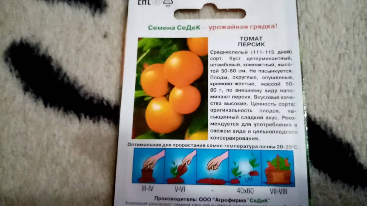 Персик сорт томата фото и описание