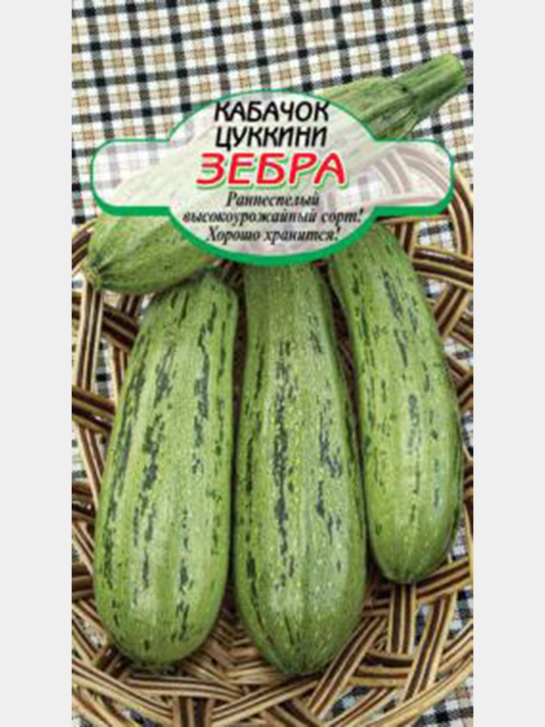 Самоопыляемые кабачки - домоводство - 10 марта - 43898571343 - медиаплатформа миртесен