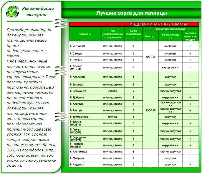 Схема подкормки перцев в теплице