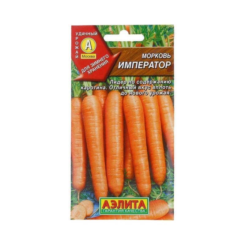 Морковь император описание фото отзывы - скороспел