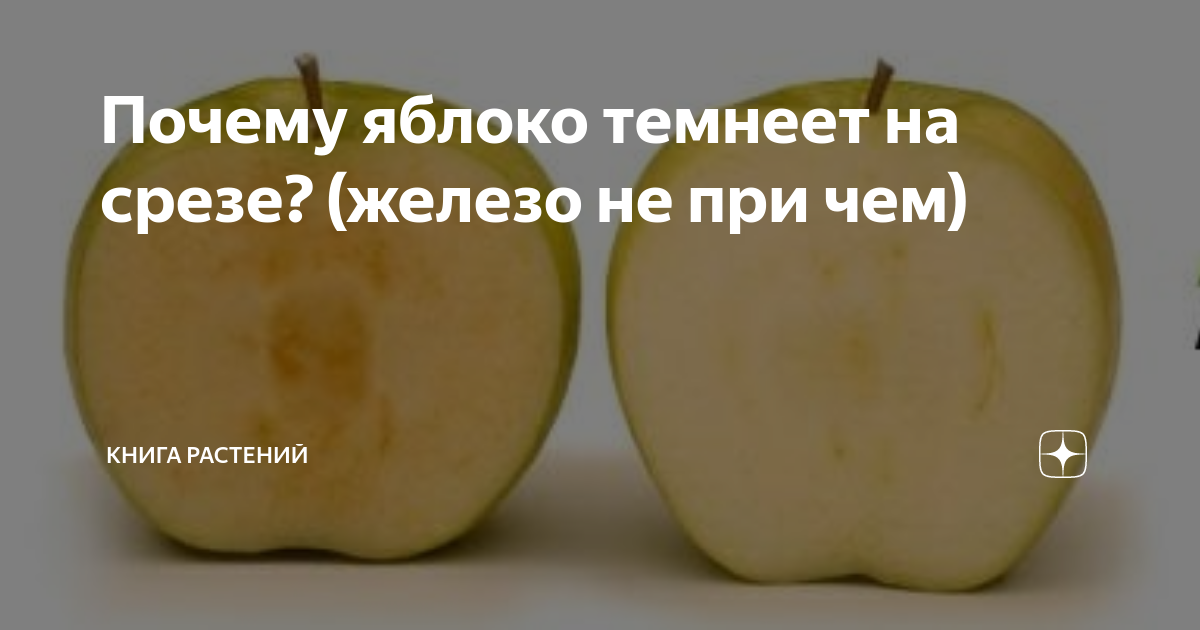 Что сделать чтобы тертые яблоки не темнели. отвечаем на вопросы. почему яблоко темнеет на срезе?