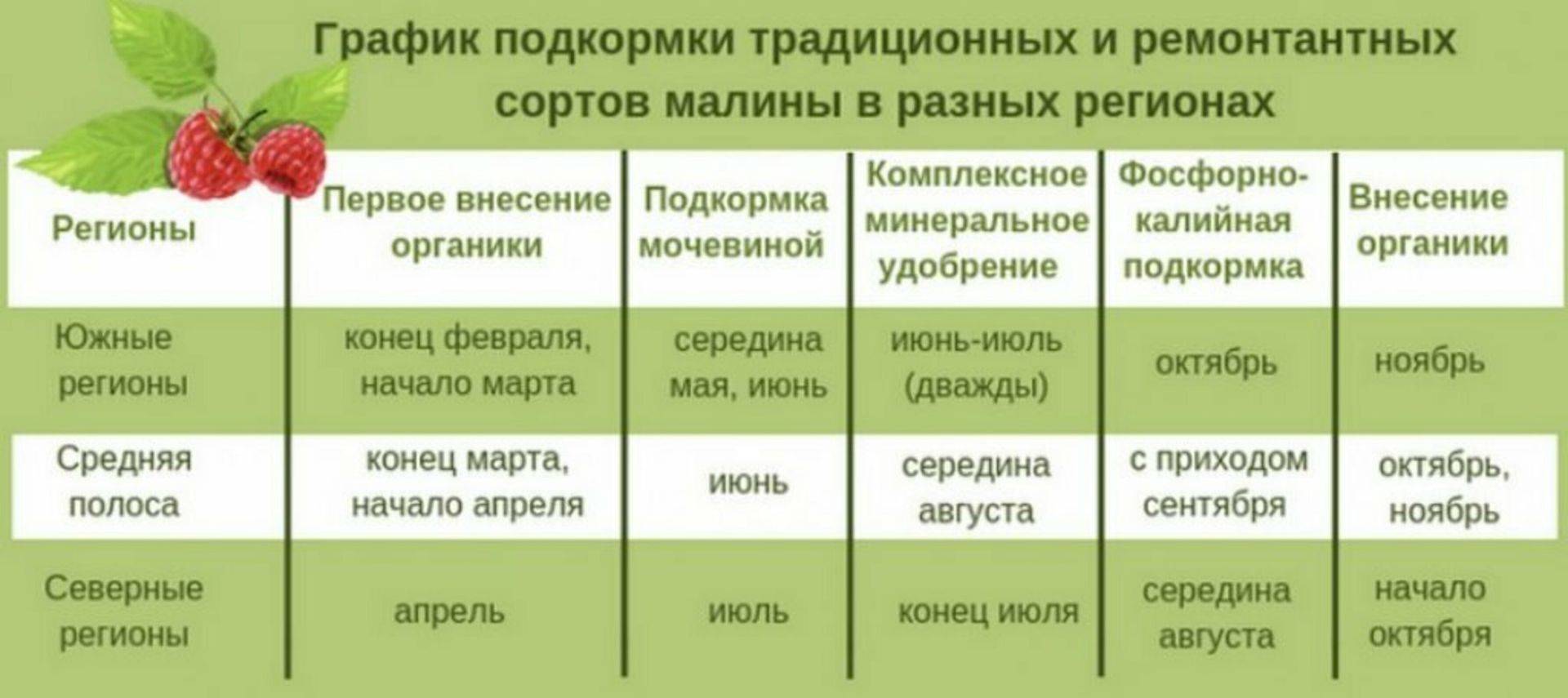 Схема удобрения ежевики малины в таблице