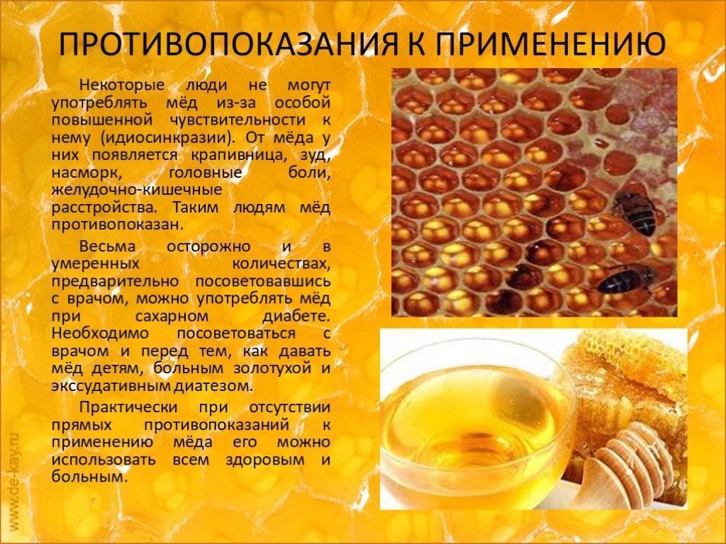 Мёд с маточным молочком: полезные свойства и противопоказания, особенности употребления, фото