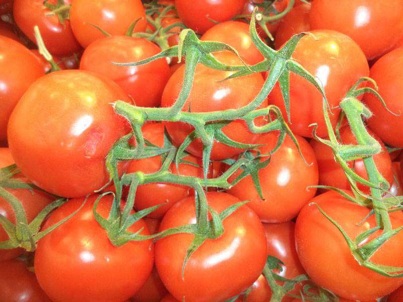 Самые урожайные сорта томатов для теплицы на 2023 год: описание и фото томатов