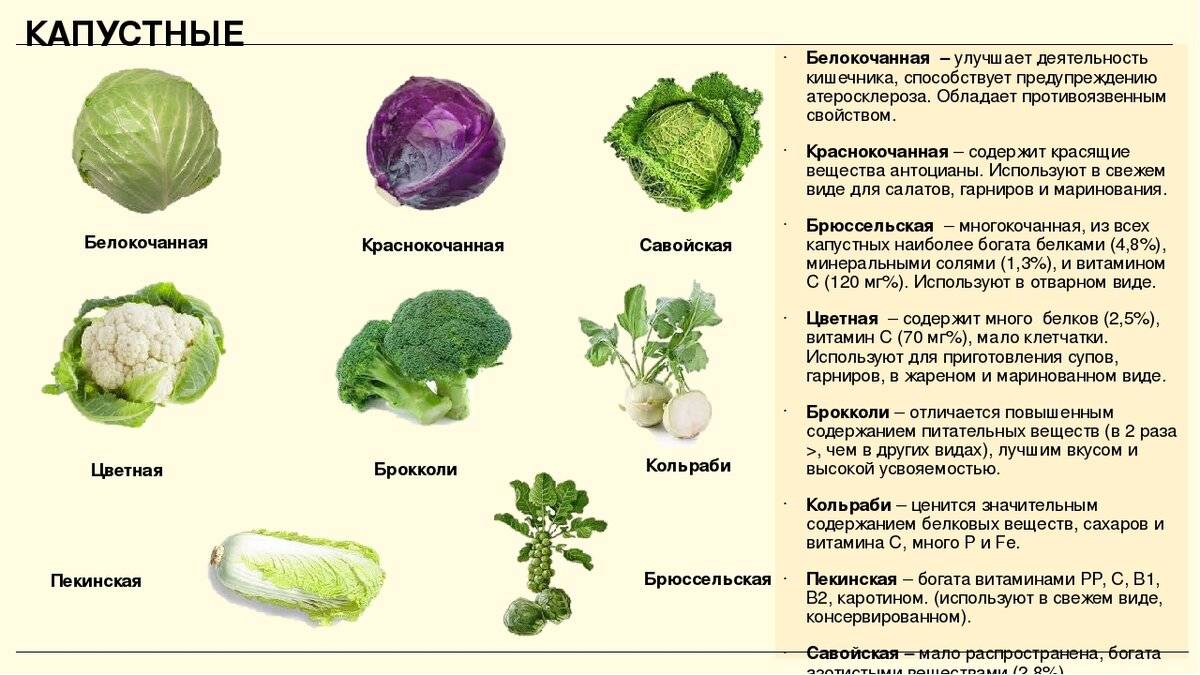 Содержание витаминов в салате из свеклы