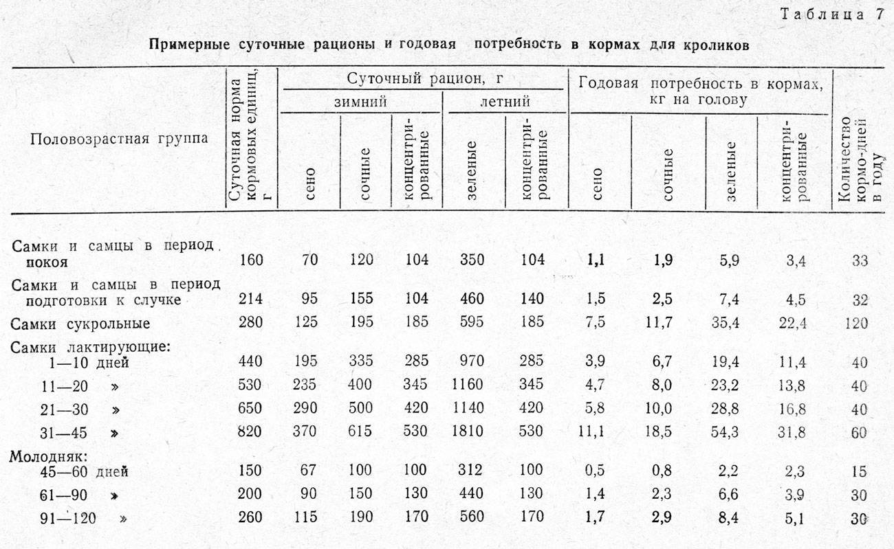 Чем кормить кроликов для быстрого роста и веса