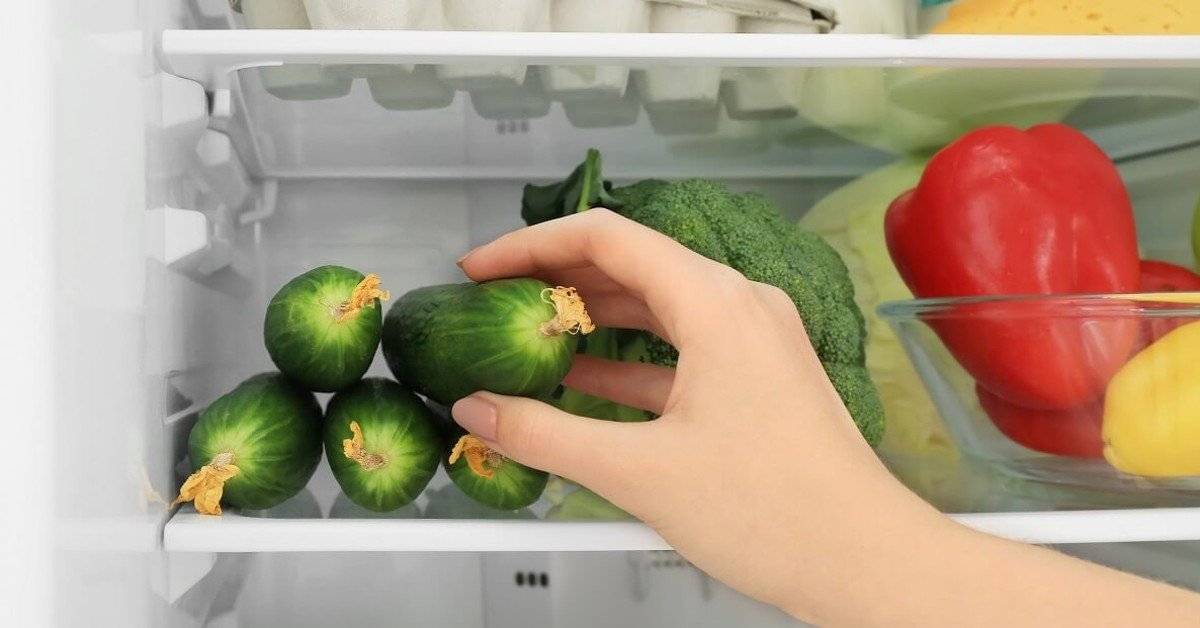 Как сохранить огурцы свежими подольше в холодильнике – правильное хранение