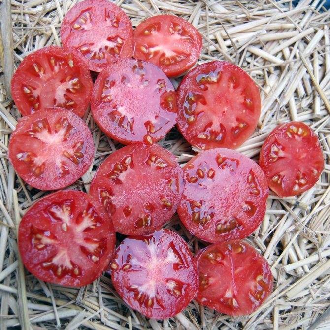 Аметистовая драгоценность – украшение в мире томатов. от описания до отзывов