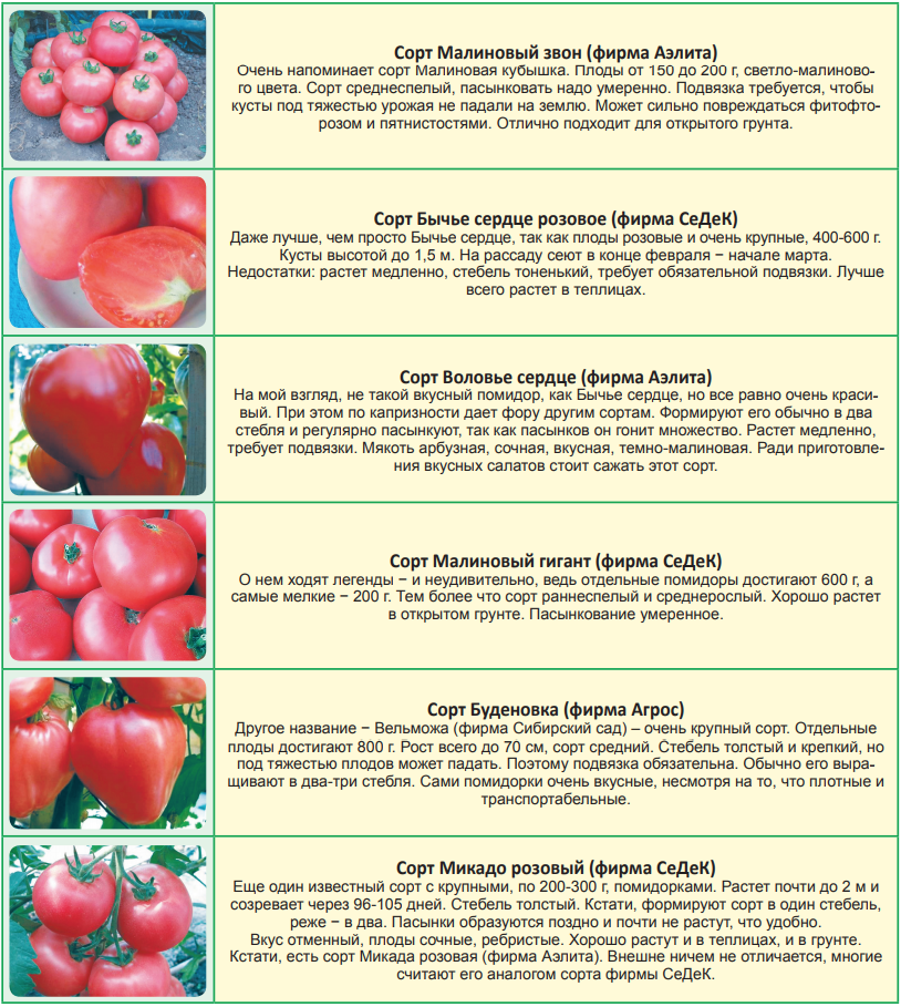 Сроки, когда сажать на рассаду помидоры для подмосковья и 2023 года лунный календарь посева