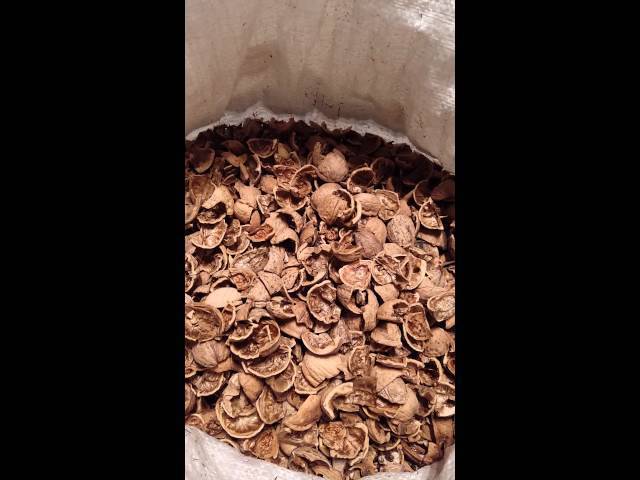 Применение скорлупы грецкого ореха: в огороде в виде удобрение или мульчи, поделки, сделанные своими руками, рецепт отвара и как используют на производстве