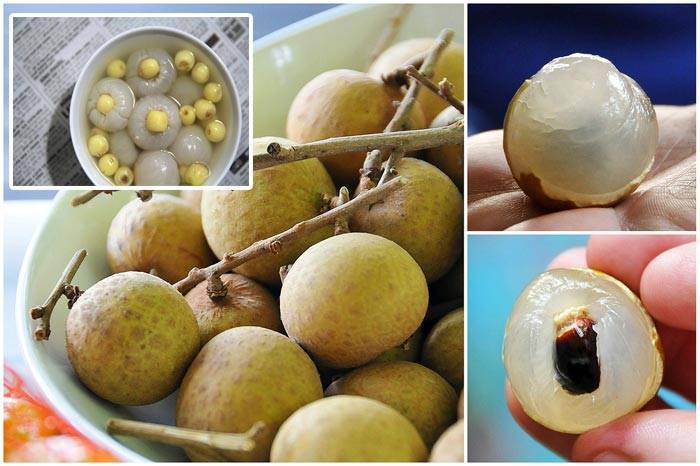 Лонган фрукт, как едят, вкус, полезные свойства и калорийность | sadikufa.ru