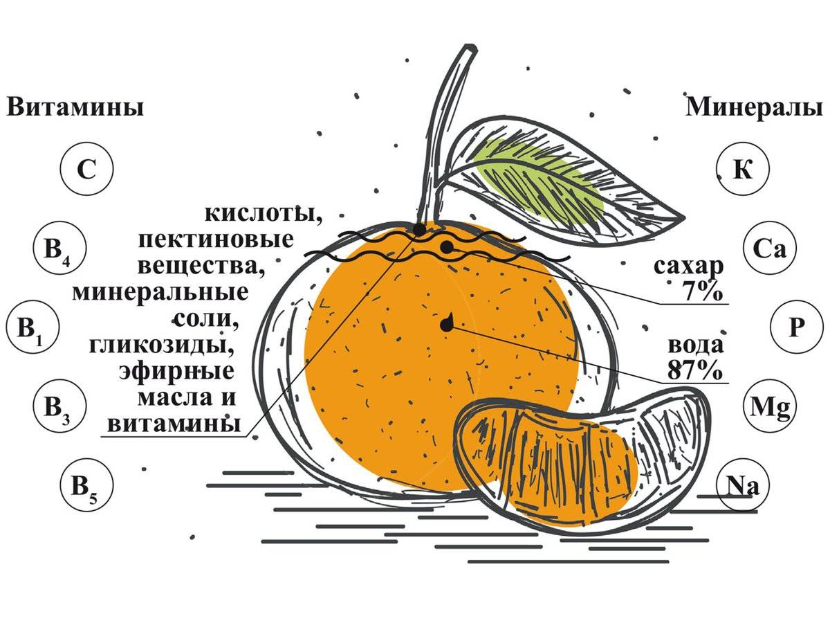 Сколько на диаграмме овощей и фруктов в которых витамина с больше чем в мандарине