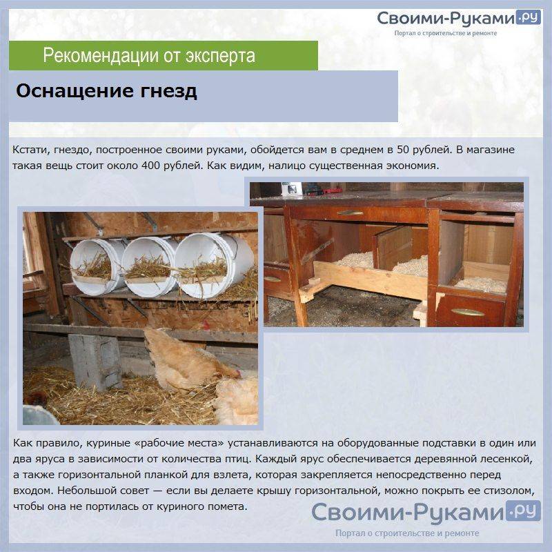 Гнезда для кур: изготовление в домашних условиях