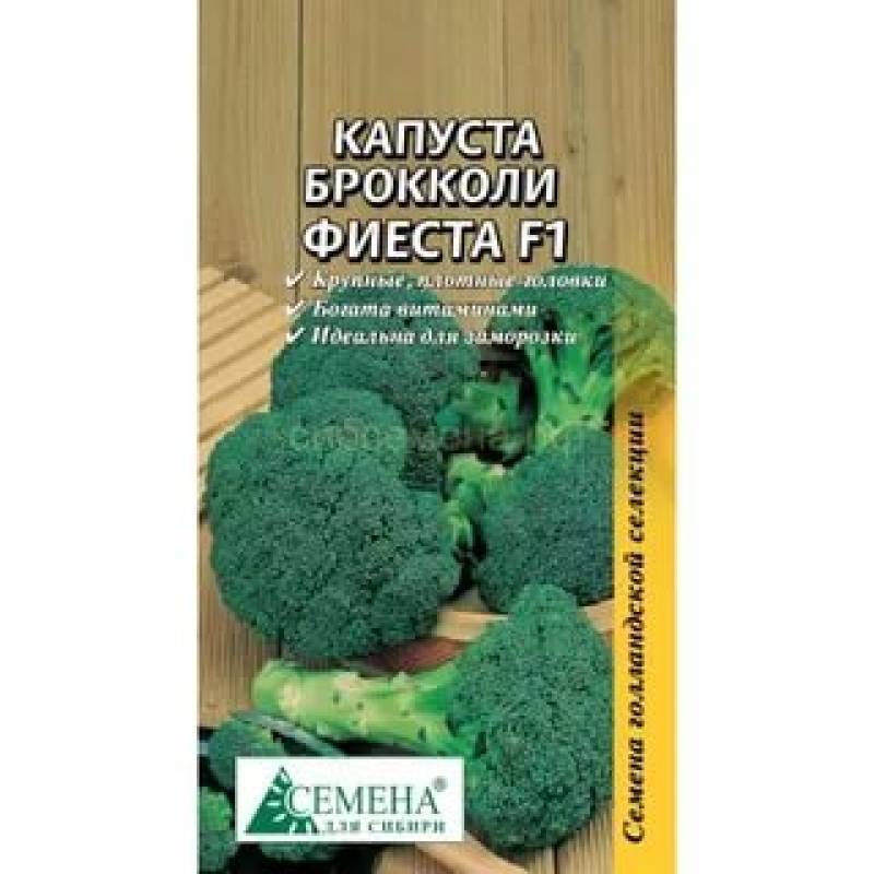Сорта брокколи: 7 видов и 5 лучших гибридов