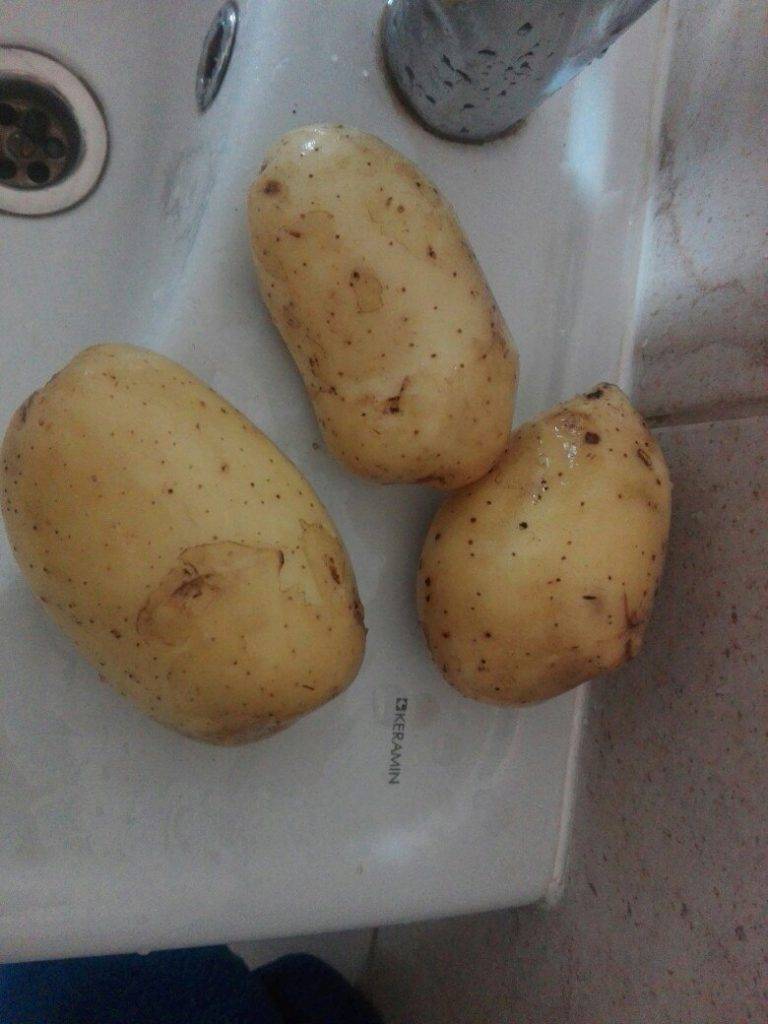 Сифра картофель характеристика. Сорт картофеля Сифра. Картофель семена Сифра Невская. Сорт картофеля Коломбо. Картофель семенная Сифра.