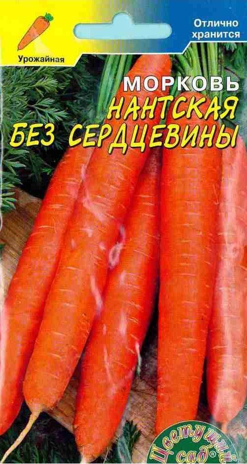 Лучшие сорта моркови отечественной и зарубежной селекции