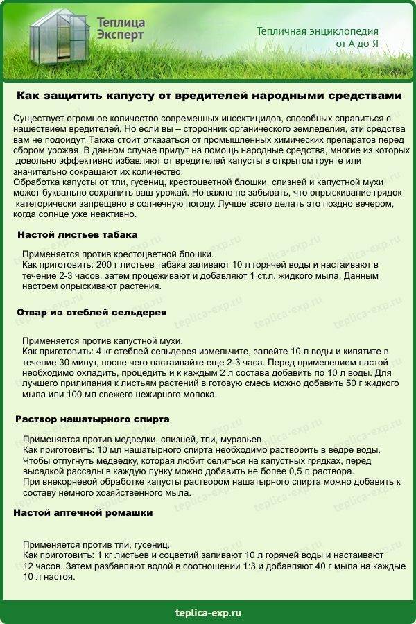 Бактериальные фунгициды | справочник пестициды.ru