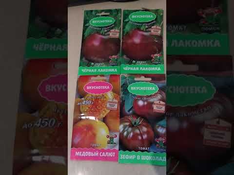 Привередливый, но очень вкусный — томат зефир в шоколаде: описание сорта и характеристики