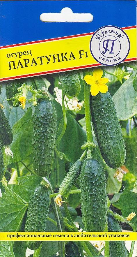 Огурец паратунка: описание и отзывы