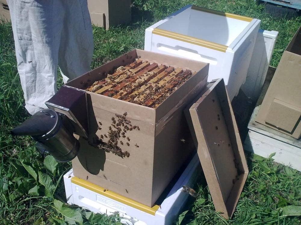 Улей лежак и работа с пчелами