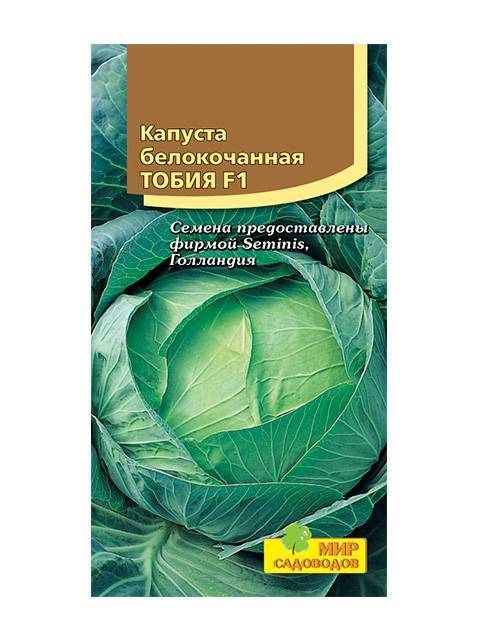Капуста тобия f1: описание гибрида и характеристика урожайности и вкусовых качеств, фото сорта и отзывы огородников