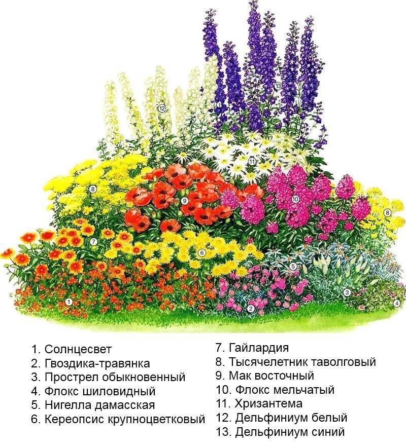 Клумбы своими руками: 120 фото красивого дизайна + инструкция от садовника