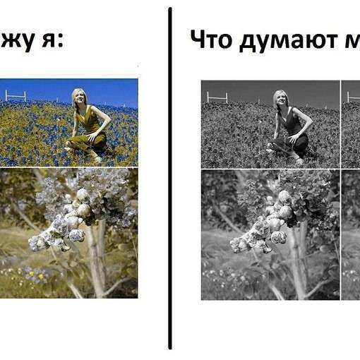 Цвета: как видят пользователи с дальтонизмом и цветовой слабостью