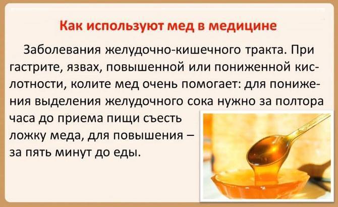 Благоприятные и неблагоприятные условия для роста helicobacter pylori | стимбифид плюс