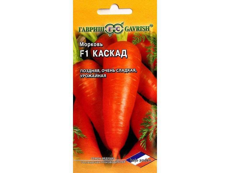 ✅ морковь каскад: описание и характеристика сорта, выращивание и уход, фото - tehnoyug.com