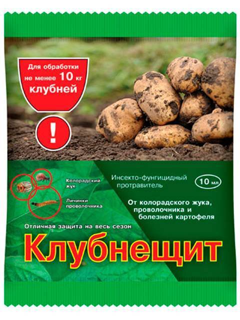 Когда опрыскивать картофель от колорадского жука: эффективные средства