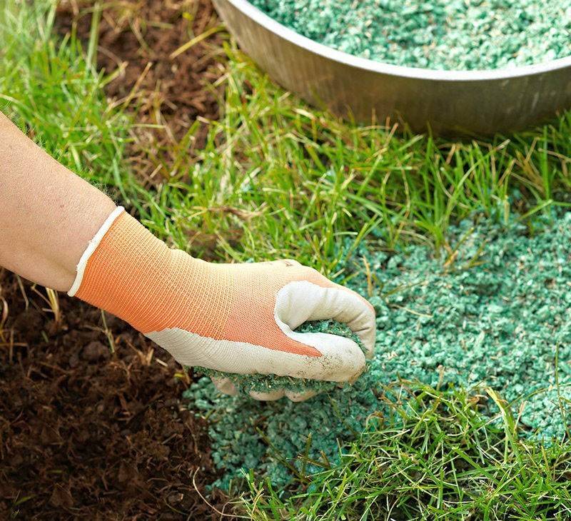 Как удобрять газон летом: необходимые подкормки и их применение