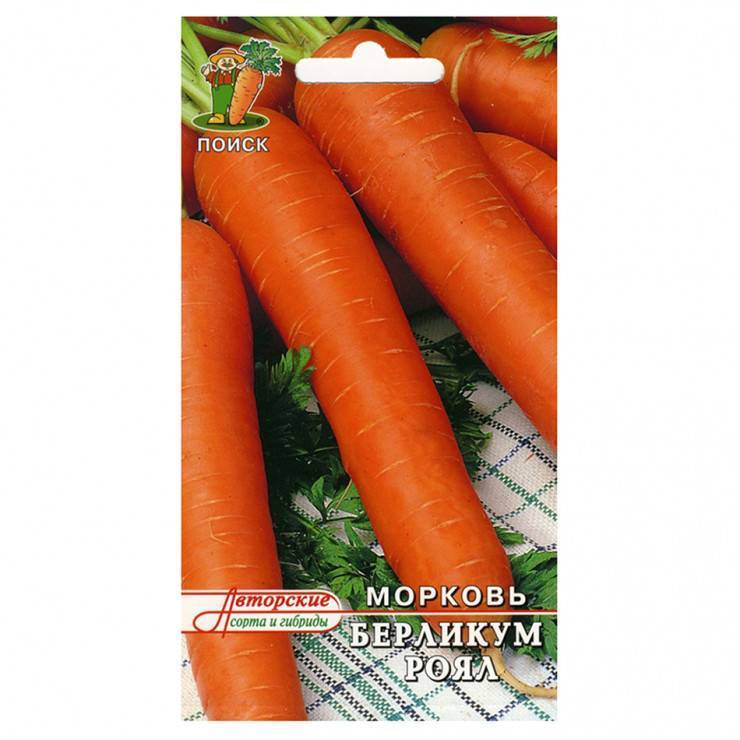 Морковь берликум роял: отзывы огородников об урожайности, описание и характеристика сорта, фото, срок созревания и вкусовые качества