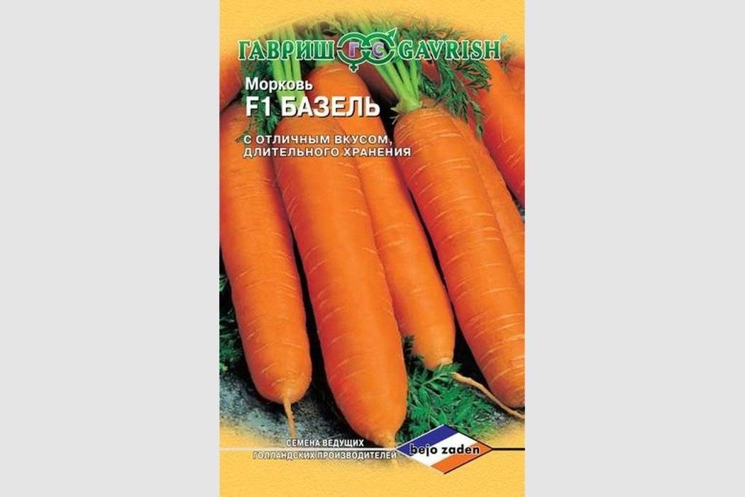 Голландские семена моркови лучшие сорта для открытого грунта