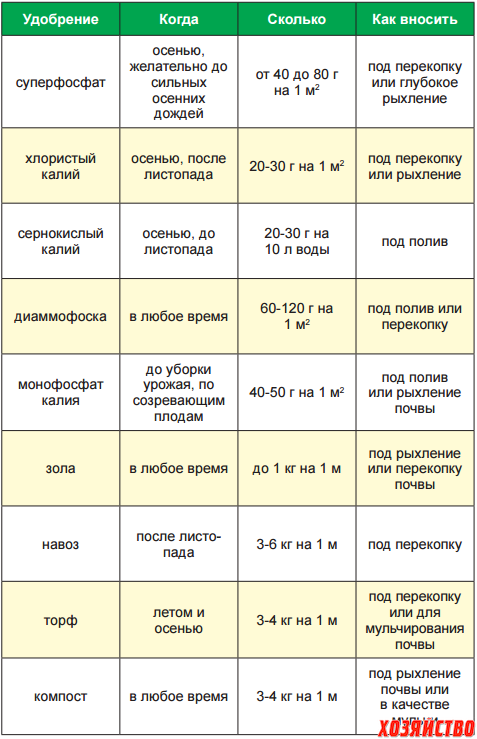 Можно ли вносить свежий