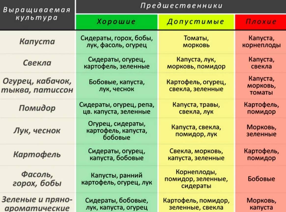 Схема чередования культур в севообороте в поле в таблице