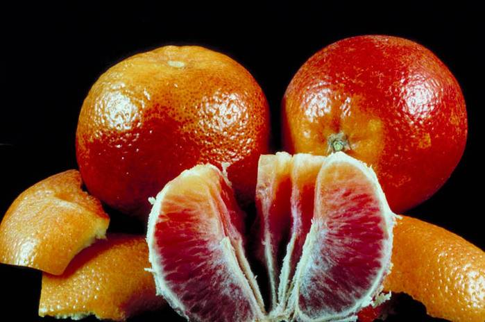 Сицилийские красные апельсины: полезные свойства и противопоказания