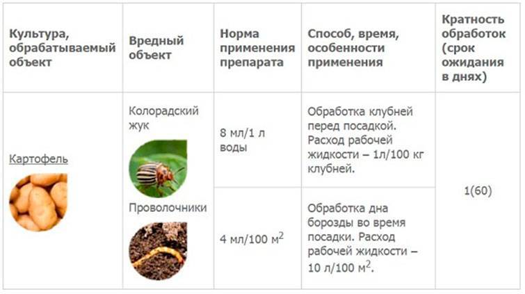 Как пользоваться средством «табу» от колорадского жука — инструкция по применению