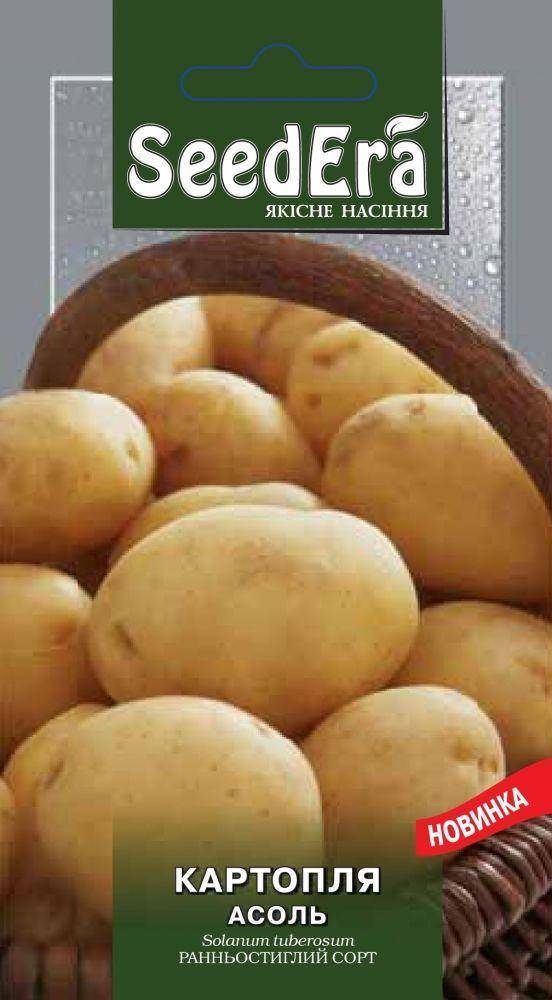 Картофель алый парус: описание сорта, посадка, уход, фото, отзывы