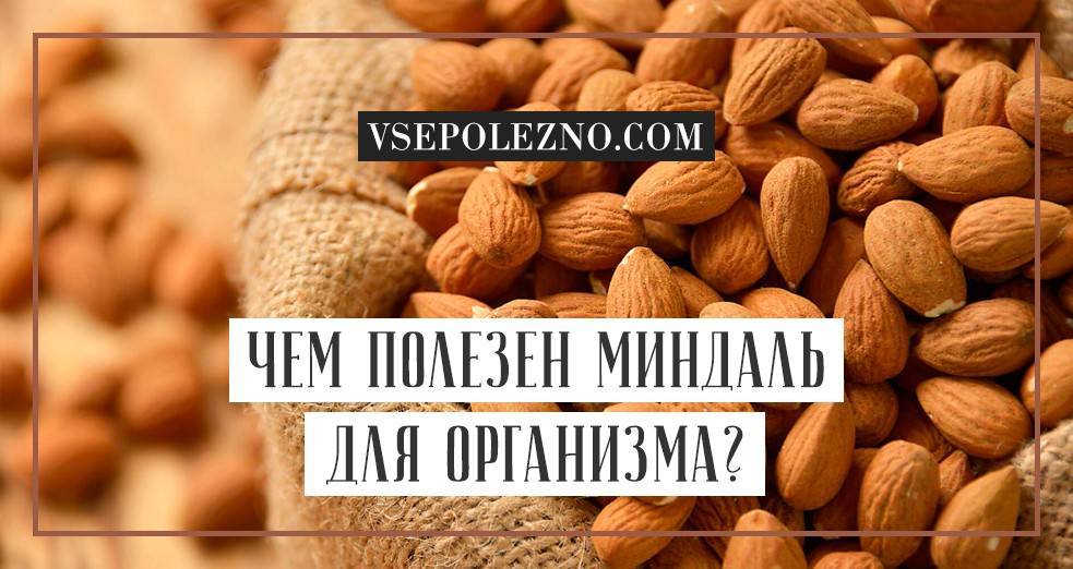 Миндаль орех польза для человека