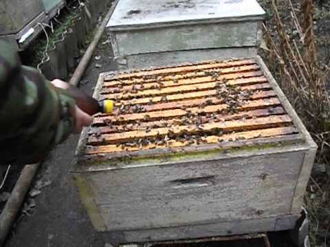 Обработка пчел дым-пушкой: бипин + керосин, бисанар, инструкция