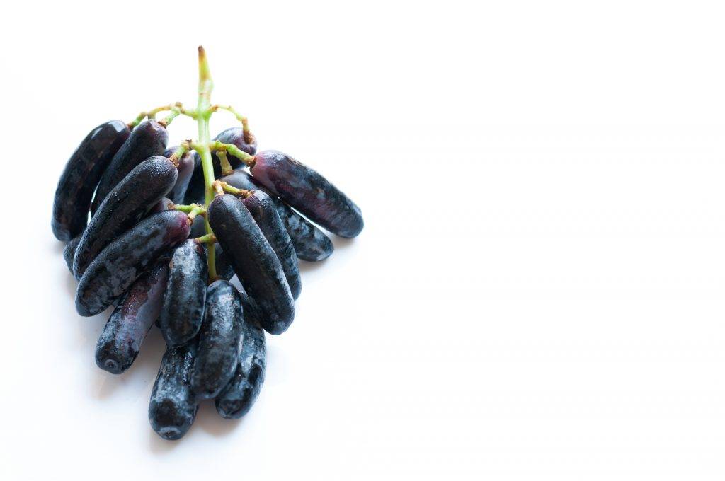 Виноград кишмиш чёрный палец (блэк фингер): описание сорта, фото, выращивание и уход