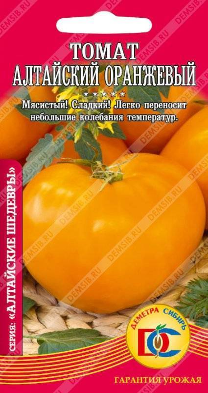 Томаты алтайский оранжевый описание фото. Томат Алтайский оранжевый. Томат Алтайский мясистый. Помидор Алтайский желтый. Алтайский оранжевый томат описание.