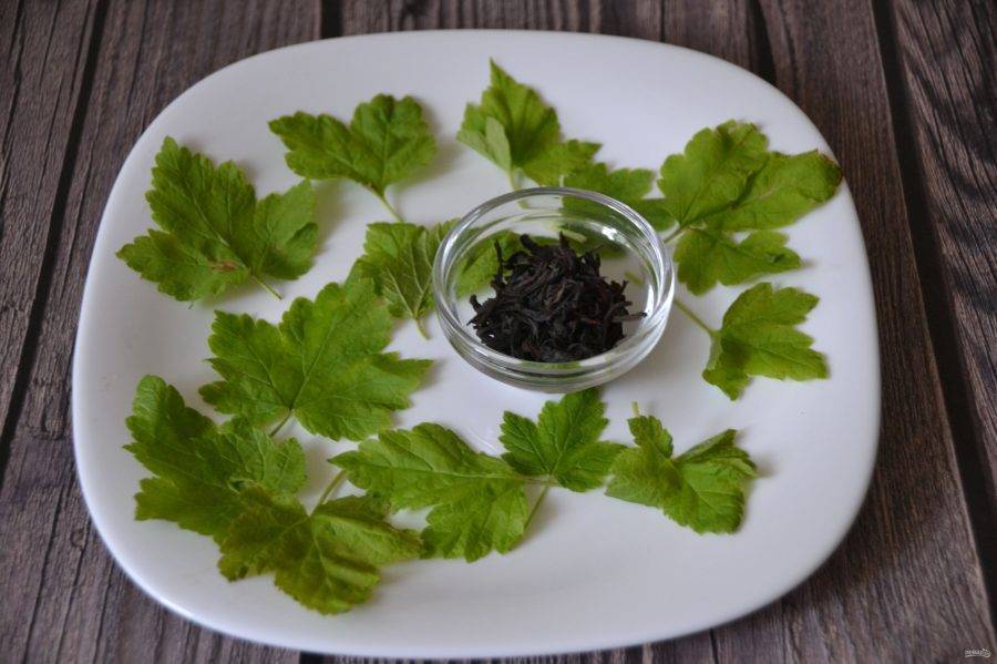 Ферментация листьев смородины для чая в домашних условиях с фото пошагово