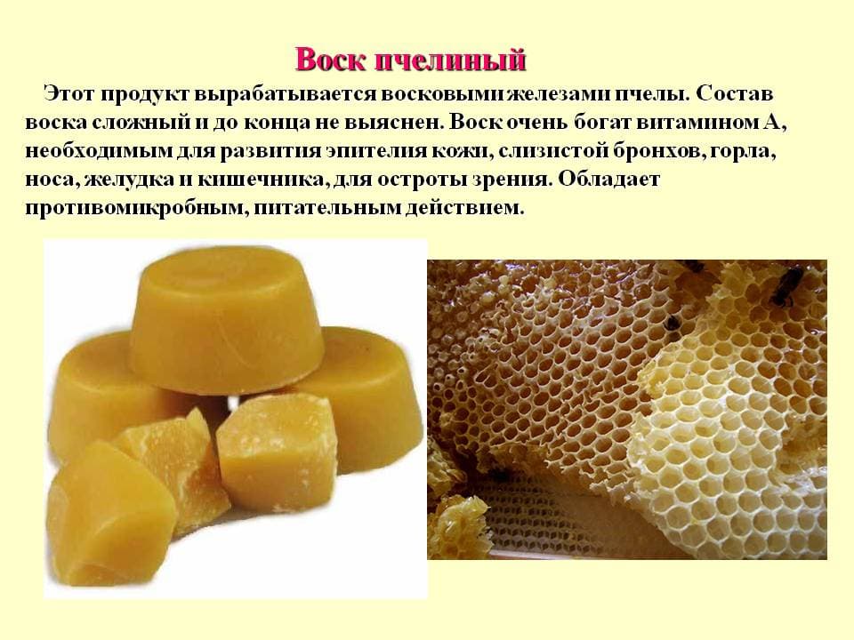 Продукты пчеловодства картинки