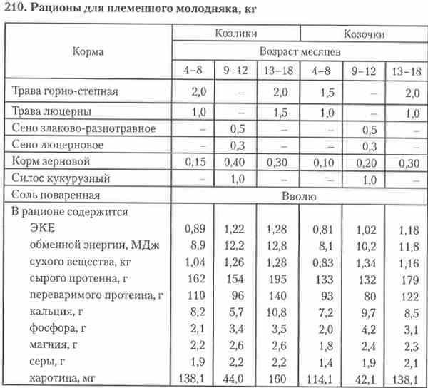 Как и чем кормить овец в домашних условиях?
