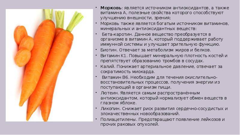 Полезна ли морковь для глаз? | питание и наука