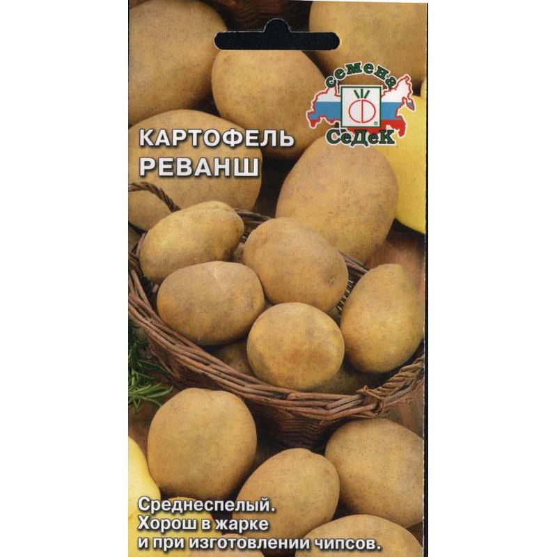 Картофель реванш: описание сорта, фото, отзывы